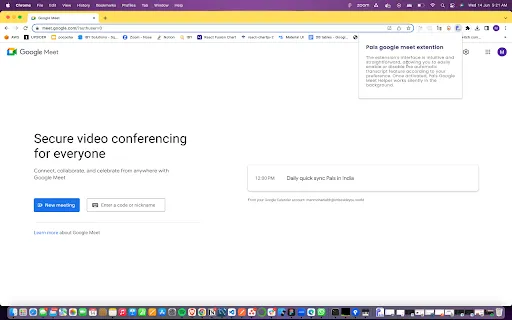 Pals Google Meet Helper
