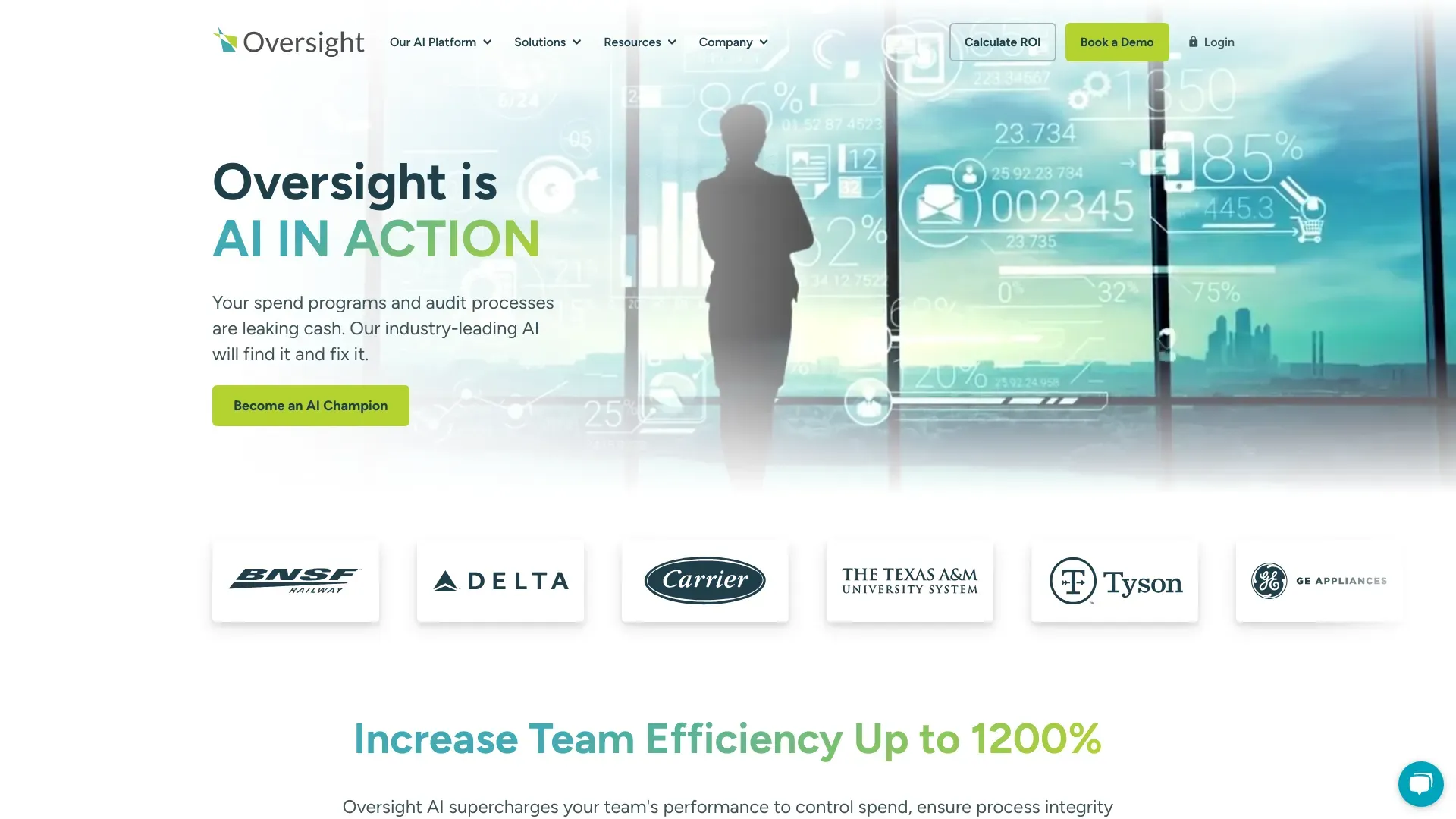 oversight.com