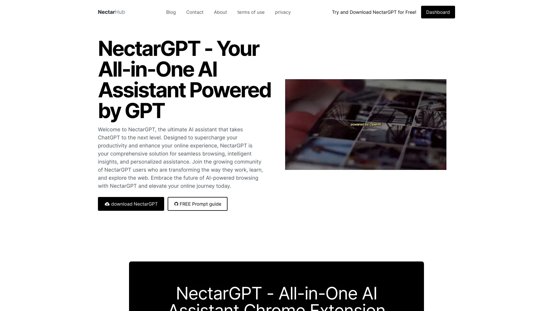 Nectar-GPT