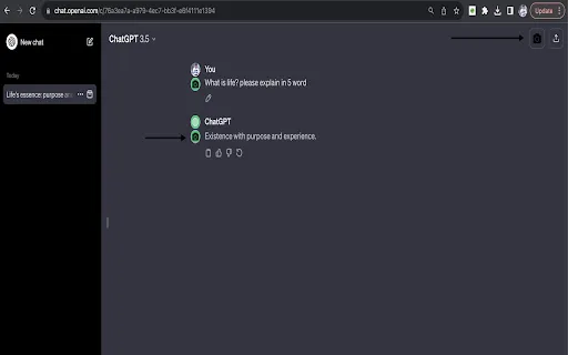 chatGPT snapshot