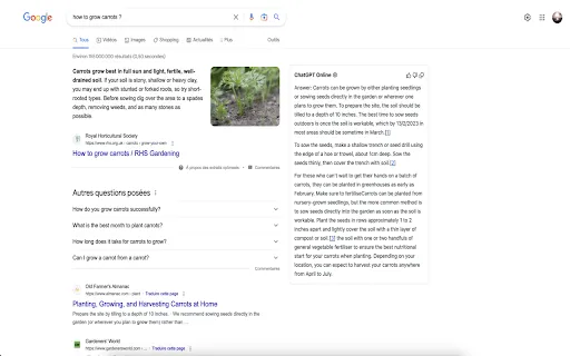 ChatGPT Online for Google