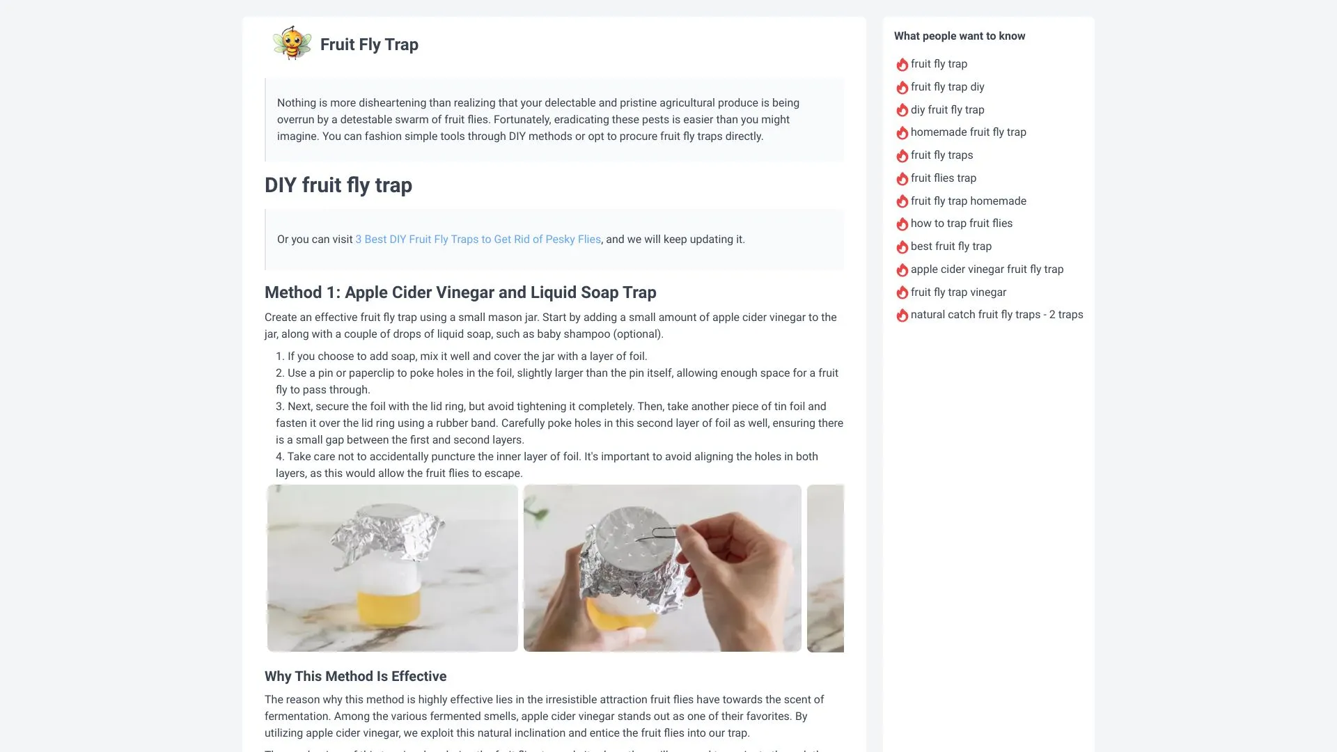 Fruit Fly Trap
