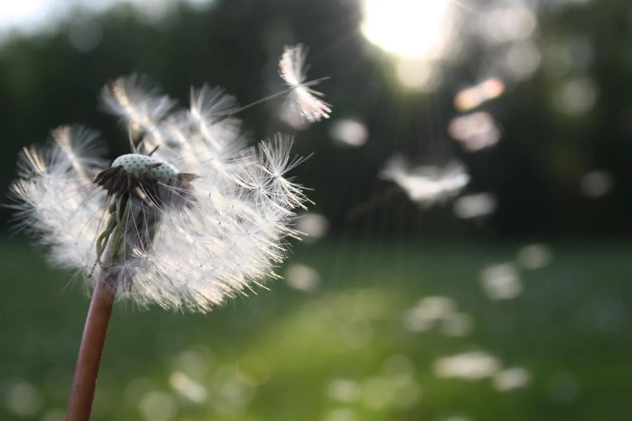 7 Science-Backed Ways to Take Better Breaks