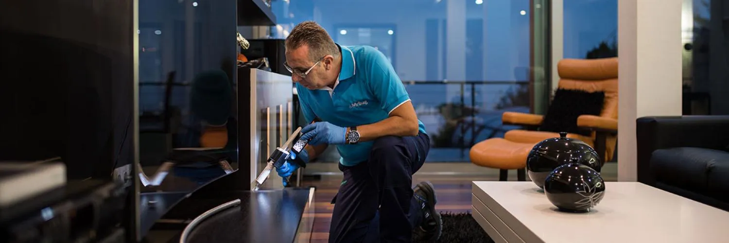 A Pest Control Service Created an MVP With No Coding