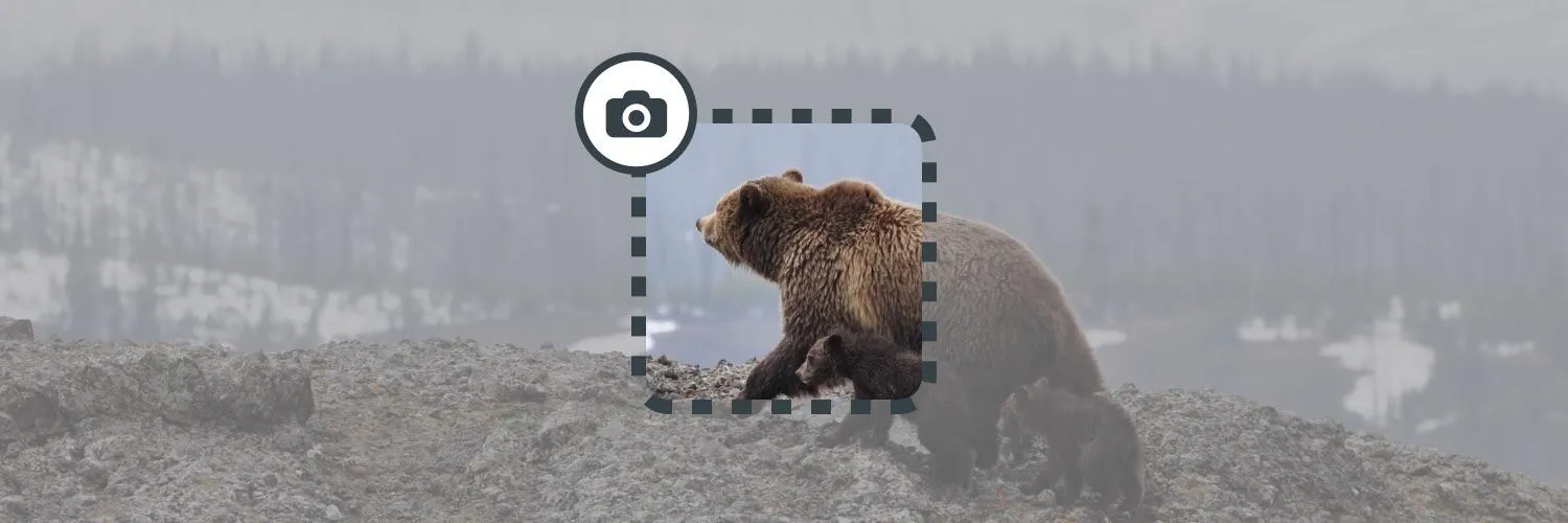Screenshot Tools, Tips, and Shortcuts: How to Capture Anything on Your Screen