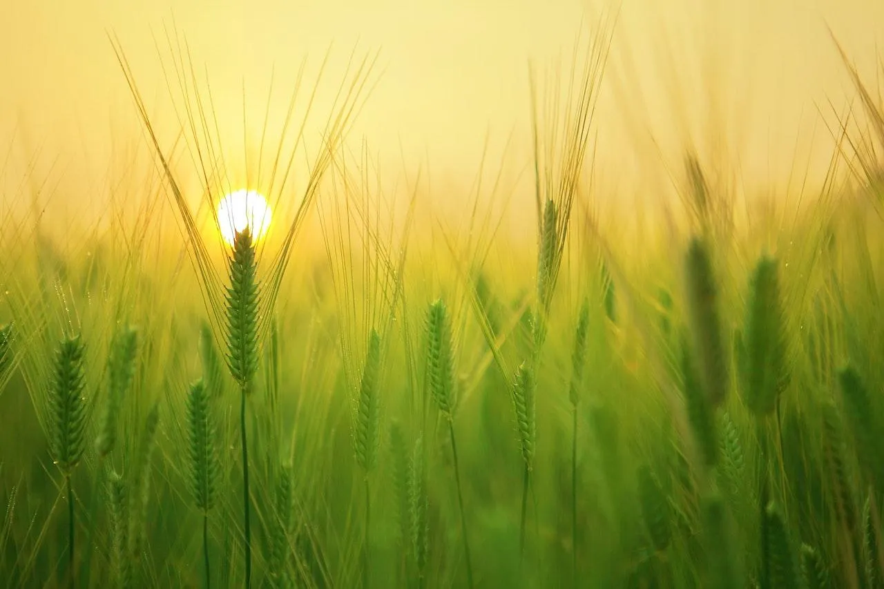 How to Make Tasks Matter and Find Meaning in Your Work